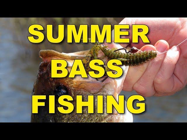 Summer Bass Fishing Techniques and Tips | Bass Fishing