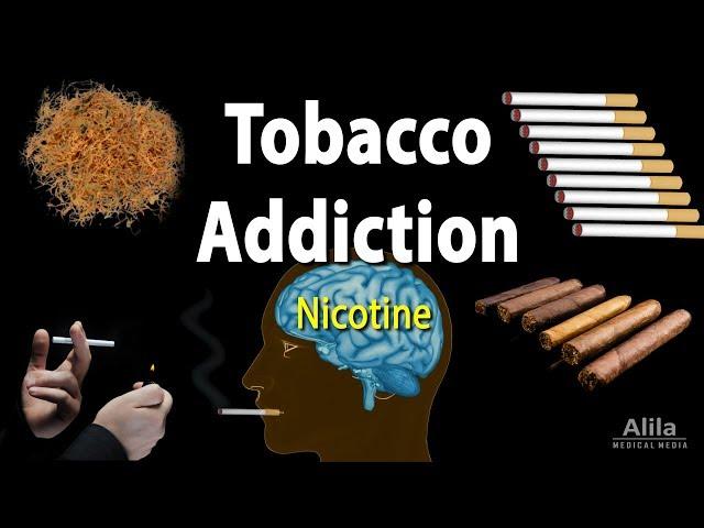 Tobacco Addiction: Nicotine and Other Factors, Animation