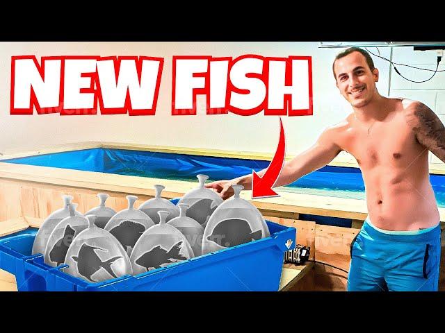 I Drove 8 Hours for These FISH!! 10+ NEW FISH
