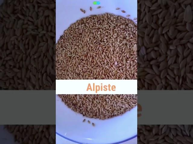Baja de peso con este batido