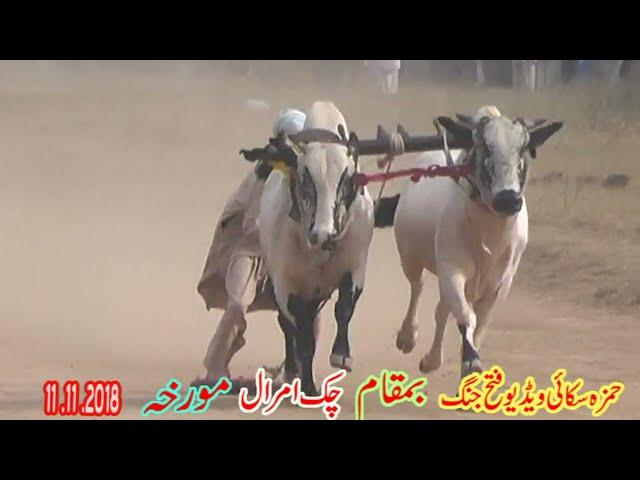 Hamza Sky Video Fateh Jang