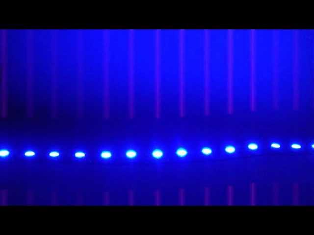 LED Lights Example: ColorBright Super Blue LED Flexible Strip