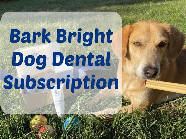 Bark Bright Dog Dental Subscription Box August 2022 Review + Free Robe & Toys