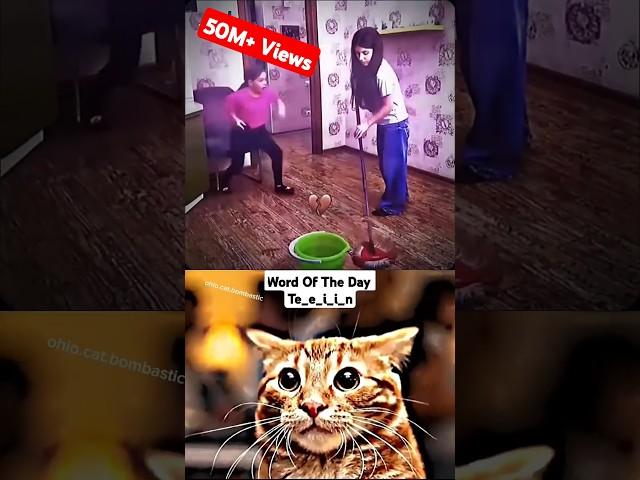 CHAD COT... #trending #memes |4K SHORTS | OHIO CAT BOMBASTIC