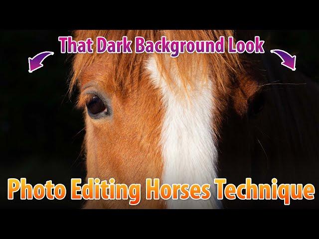 How To Edit A Horse Picture To Have A Black Background