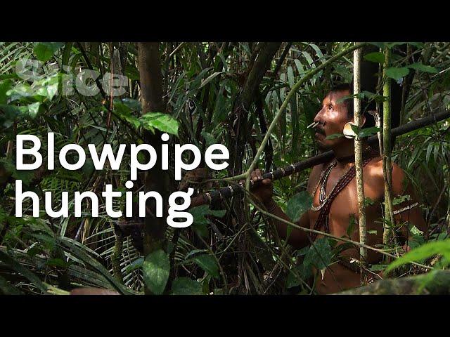 The unique hunting method of the Jaguar Men | SLICE