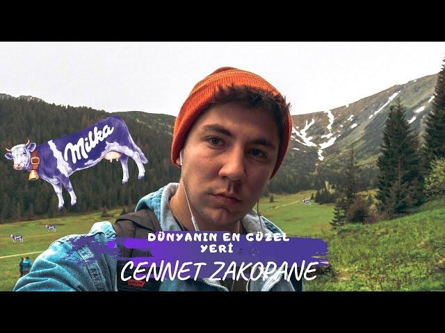 Doğa Harikası Olan Şehir !  | CENNET ZAKOPANE