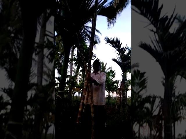 add shop veeresh 8618070867   bomesudha
