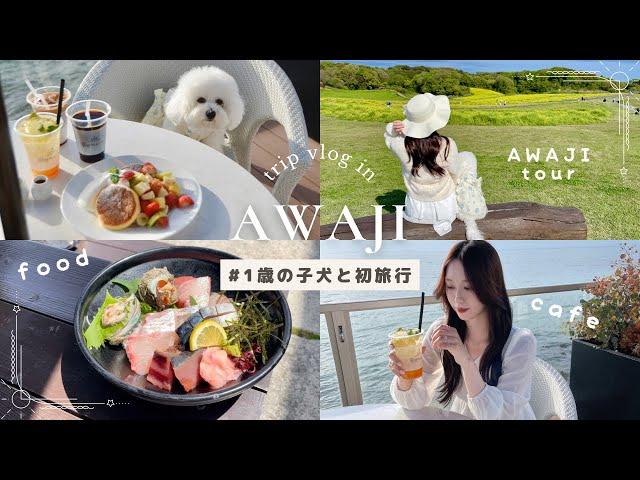 愛犬と初旅行1泊2日淡路島vlog ｜グルメ･カフェ ｜おすすめ観光スポット｜旅館ルームツアー  ᝰday1