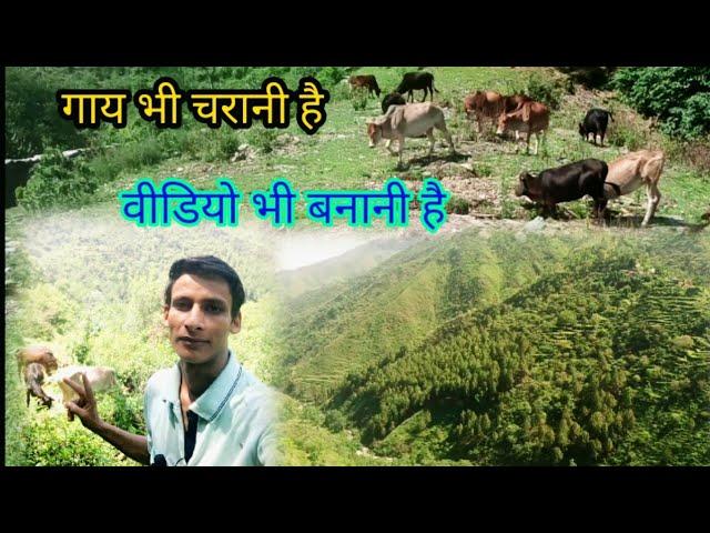 Mountain village life in uttarakhand | my village | Pahadi lifestyle | beautiful village vlog