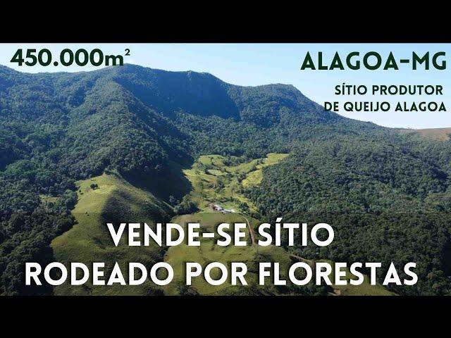 Sítio produtor de queijo Alagoa em meio a natureza - 45ha - Terras de Montanha imóveis