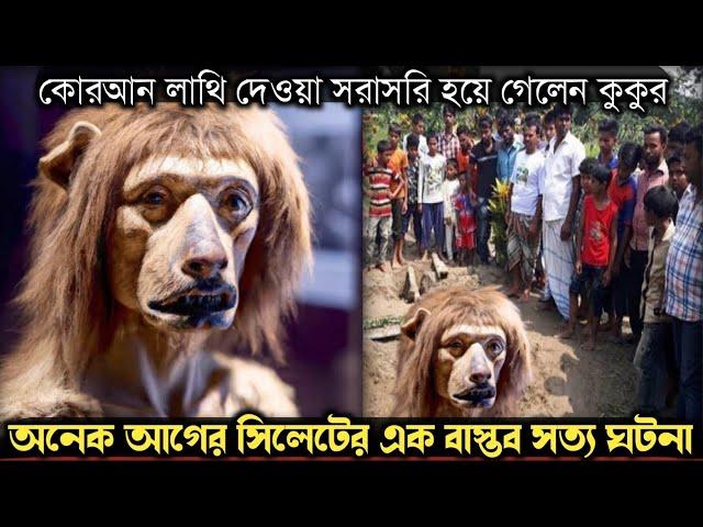 কোরআন শরীফ লাথি দেওয়ায় কুকুর হয়ে গেলেন নারী (সিলেটের সত্য ঘটনা) Bangla real life story E1177 APON