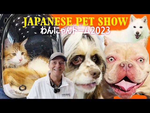 Discovering Japan's Pet Culture: Pet Show Tour and Latest Pet Products 2023 / ペットの祭典「わんにゃんドーム」