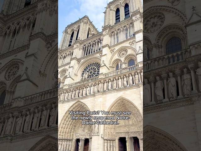 PARIS Hack Notre-Dame Cathedral  Tips on How to Visit Newly Opened Renovated #paris #notredame