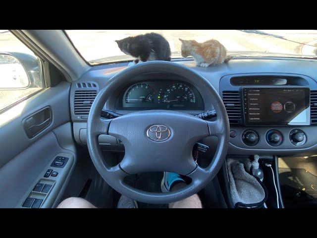 2003 Toyota Camry ASMR RELAXING POV BABY CAT TEST DRIVE