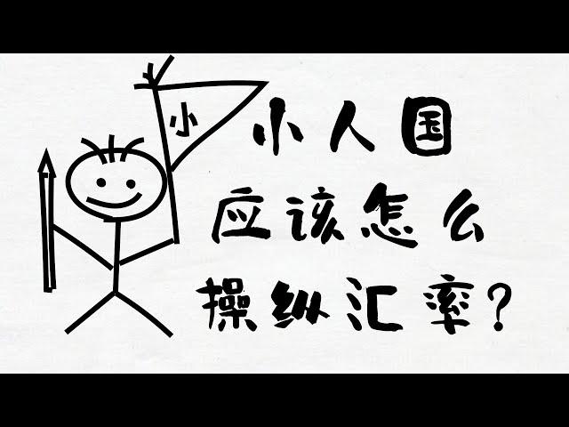 《小人国VS巨人国的货币》汇率是由什么决定的？为什么会变？变了又代表什么？如何操纵汇率？为什么要操纵汇率？