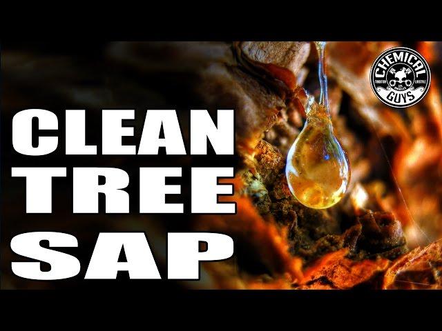 How To Remove Tree Sap With Car Wax - Butter Wet Wax