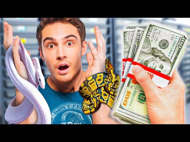 I Purposely Over Paid For All The Animals At A Reptile Show!