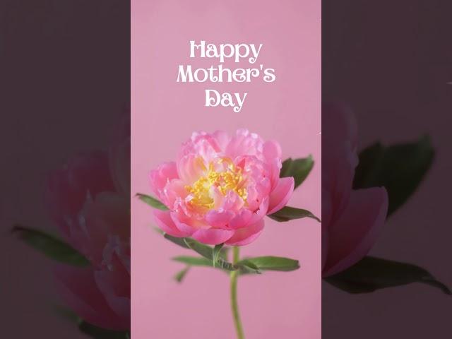 Mothers day music video greeting card - Happy Mother's Day