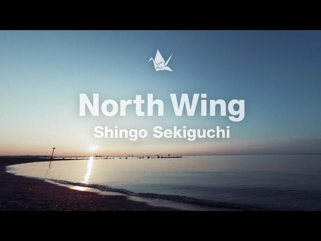 Shingo Sekiguchi - North Wing [Official Audio]