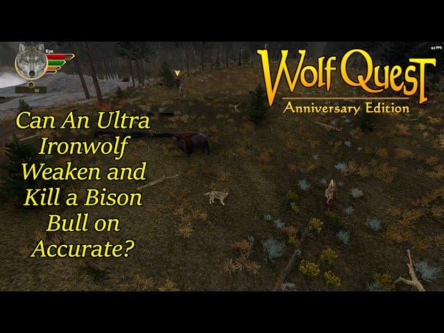 Wolf Quest AE - Can An Ultra Ironwolf Weaken and Kill a Bison Bull on Accurate?