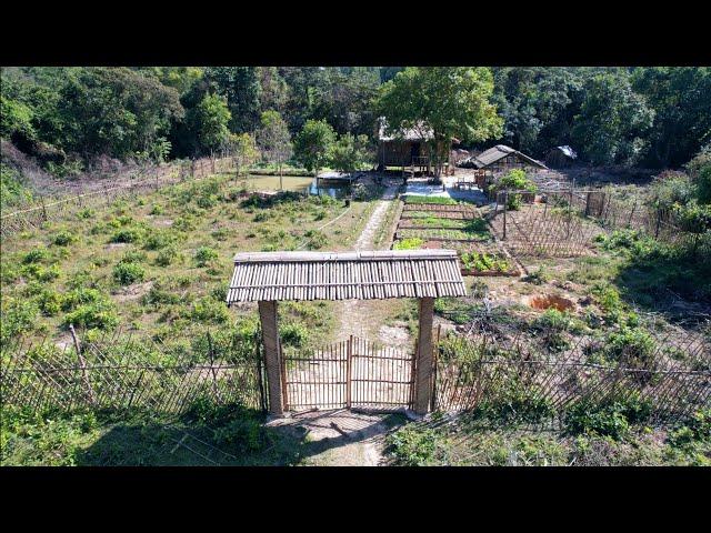 FULL VIDEO: 111 Days Living In The Forest, build houses, expand farms, grow vegetables....