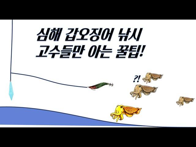 제주도 심해 갑오징어 낚시 입질 받을 확률 높이는 방법! (끝보기 확대 영상)