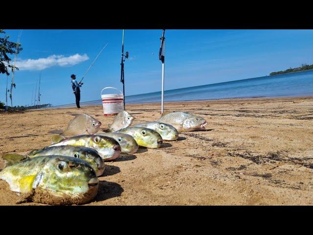 "PERDI MAIS DE 30 ANZÓIS" ESTAVA CHEIO de PEIXES FAMINTOS!!! Pesca de Praia.