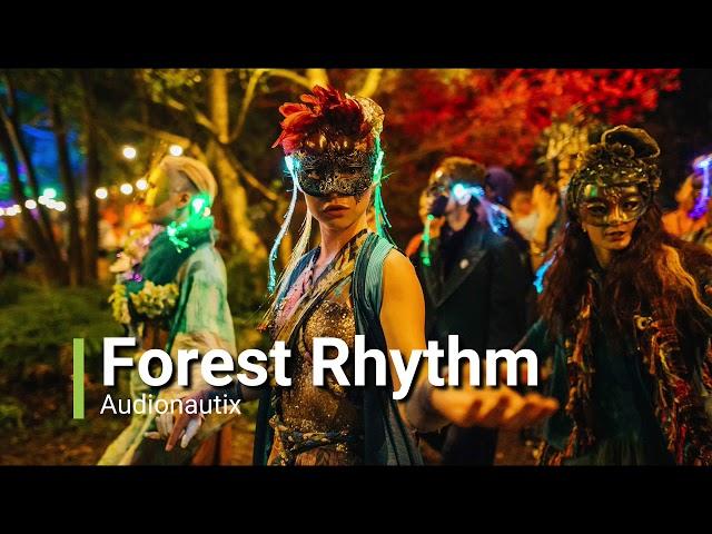 Forest Rhythm by Audionautix | Free music for content creators | Dance music no copyright