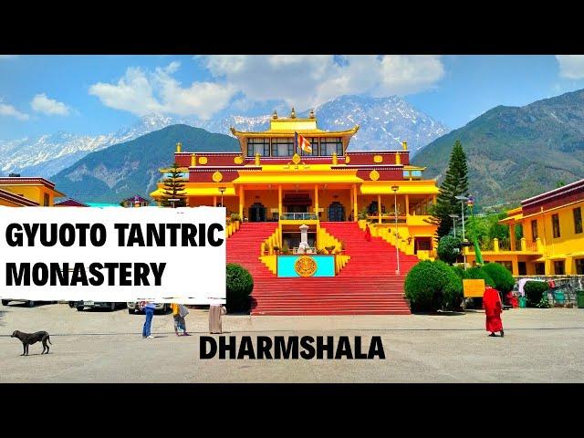 Visit to Gyuto tantric monastery dharamshala, place to visit in Dharamshala