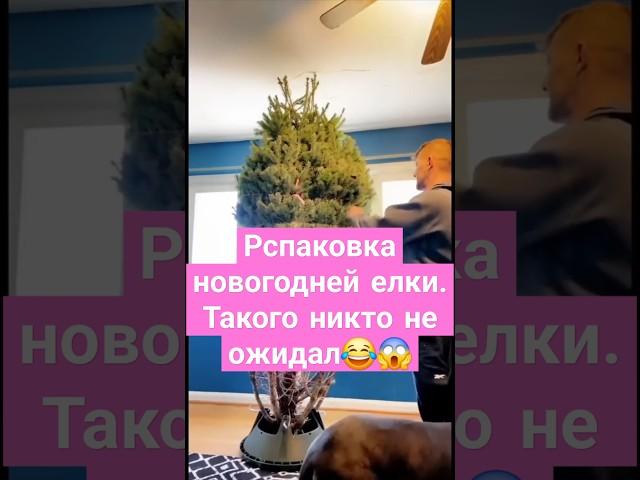 Рспаковка новогодней елки. Такого никто не ожидал #юмор #shorts #новыйгод