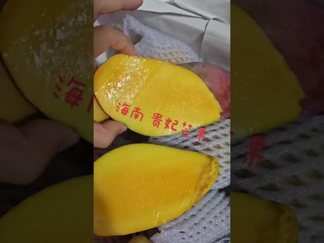 海南树熟贵妃芒肉多、核薄如纸，可食率高达95%#芒果#贵妃芒 #海南贵妃芒果 #当季新鲜水果