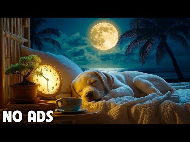 12 Hours Healing Dog Music  Soothing Sounds for Deep Relaxation and Sleep With Piano Sound