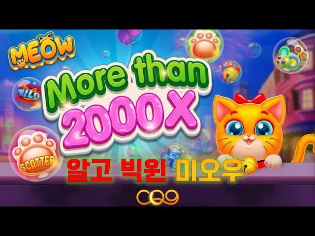 알고빅윈 미오우 Meow 슬롯머신