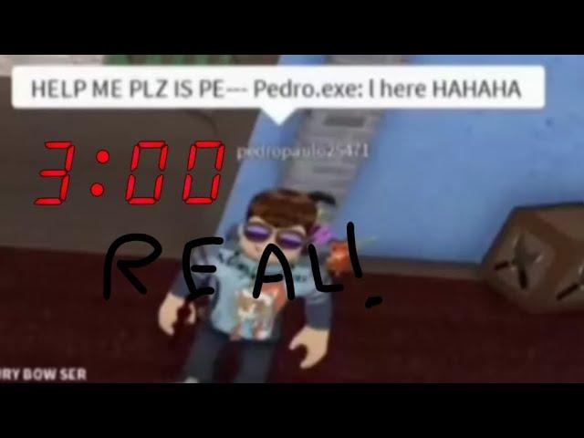 PEDRO EXE REAL!