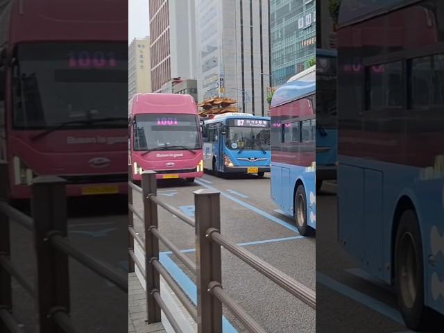 1001번 수소유니 부산역 정류장 발차 #부산역 #수소유니 #1001번