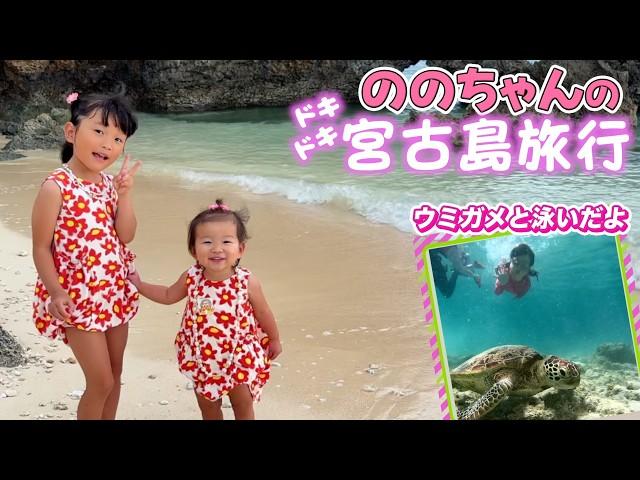 【宮古島】今夏最後の思い出づくりウミガメと泳ぐシュノーケリング体験ののちゃんひーちゃん大興奮の5泊6日の旅️