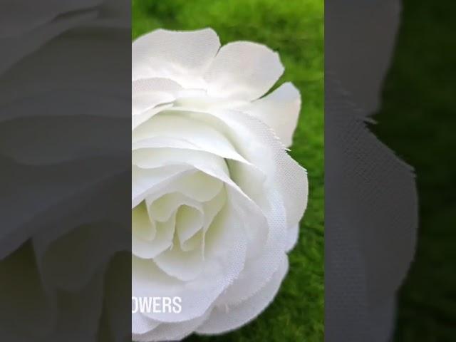 #santkrupa #flowers #rose #decoration