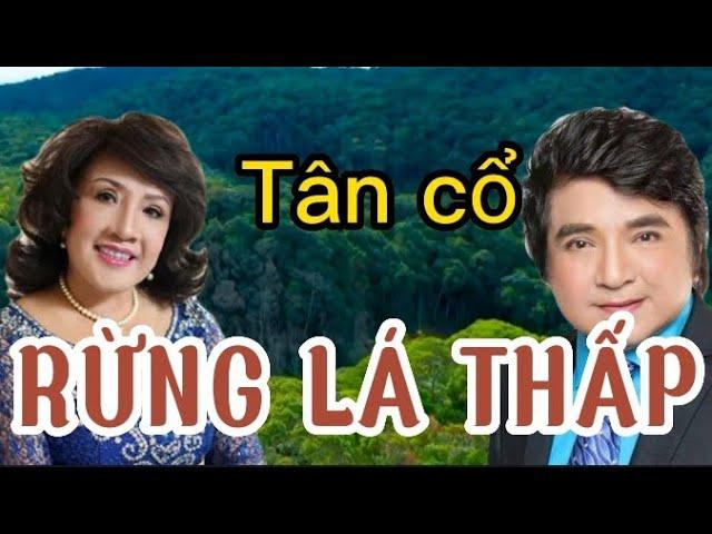 Tân cổ. RỪNG LÁ THẤP.  {Lệ Thủy Chí Tâm.}