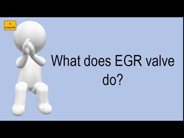 What Does EGR Valve Do?