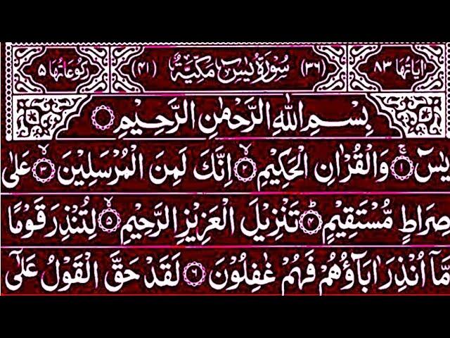 Surah Yaseen Surah Rahman || Best Qur'an Recitation || Surah Yasin full Tilawat || Surah Mulk