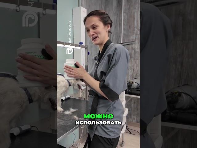 Сцепка Polysorb  Пудра, Тальк, Тримминг для Идеала! #груминг #животные #джекрассел #собака