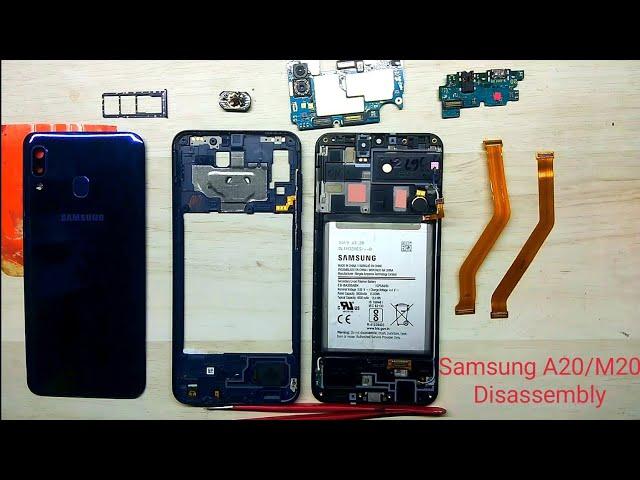 Samsung A20 Disassembly / Samsung A20s Teardown || How to Open Samsung A20s