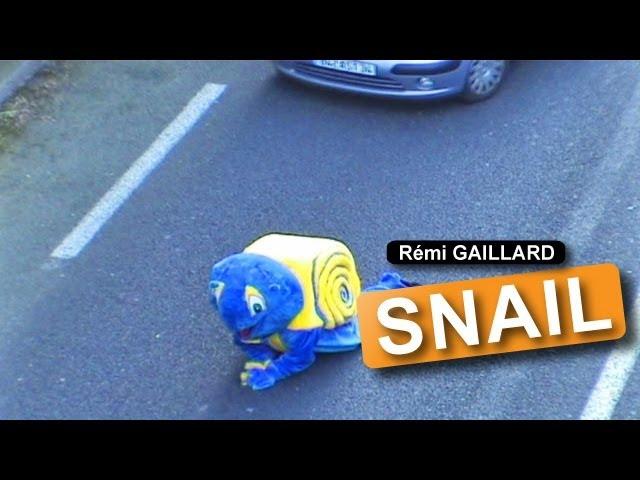 SNAIL (REMI GAILLARD)