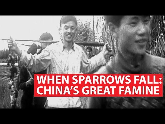 When Sparrows Fall: China's Great Famine | Asian Century