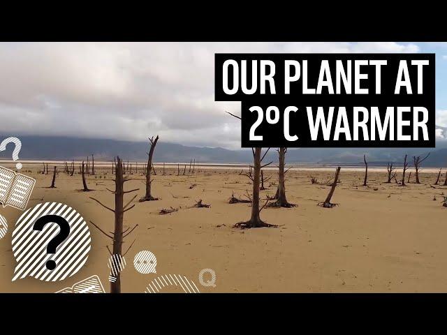 What happens if the planet warms by 2°C? | WWF