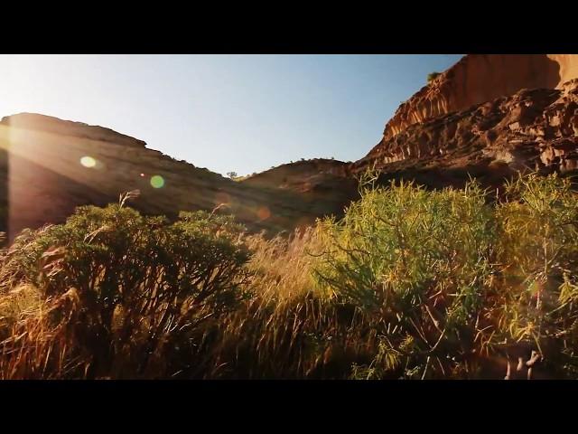 Tenerife - Vívela y Siéntela Naranja.