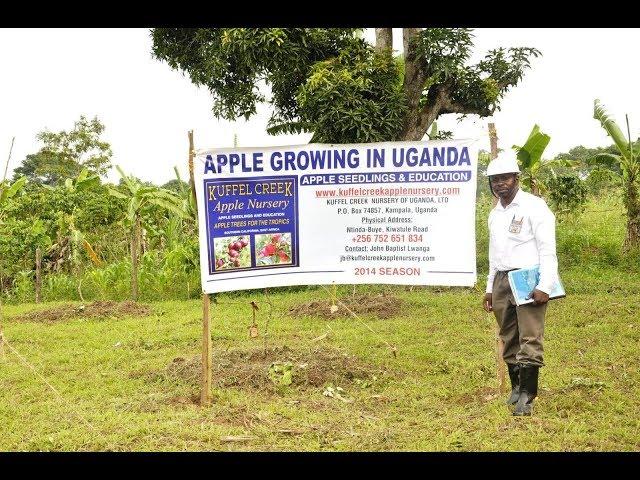 How Kuffel Creek Came to Africa - Part 3 Uganda