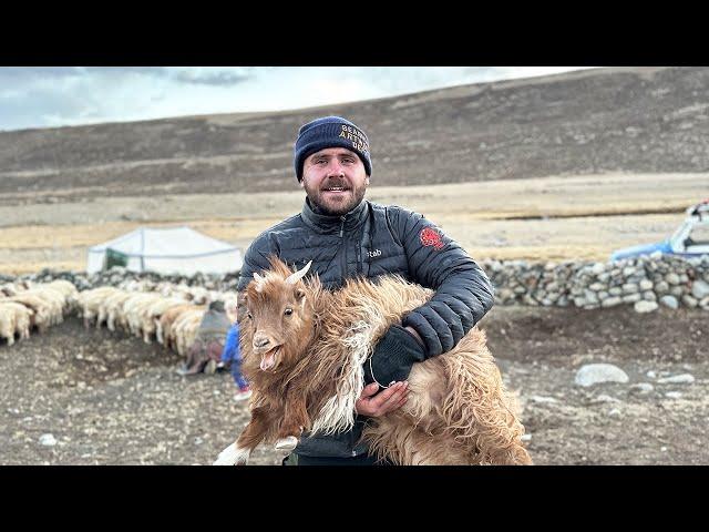 Living 7 Days With a Tribe of Tibetan Nomads