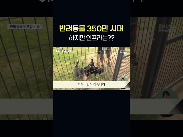 "반려동물 350만 시대 코앞"..전남 인프라는 빈축    #shorts